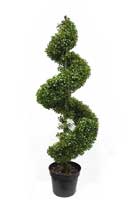 Spiral Topiary